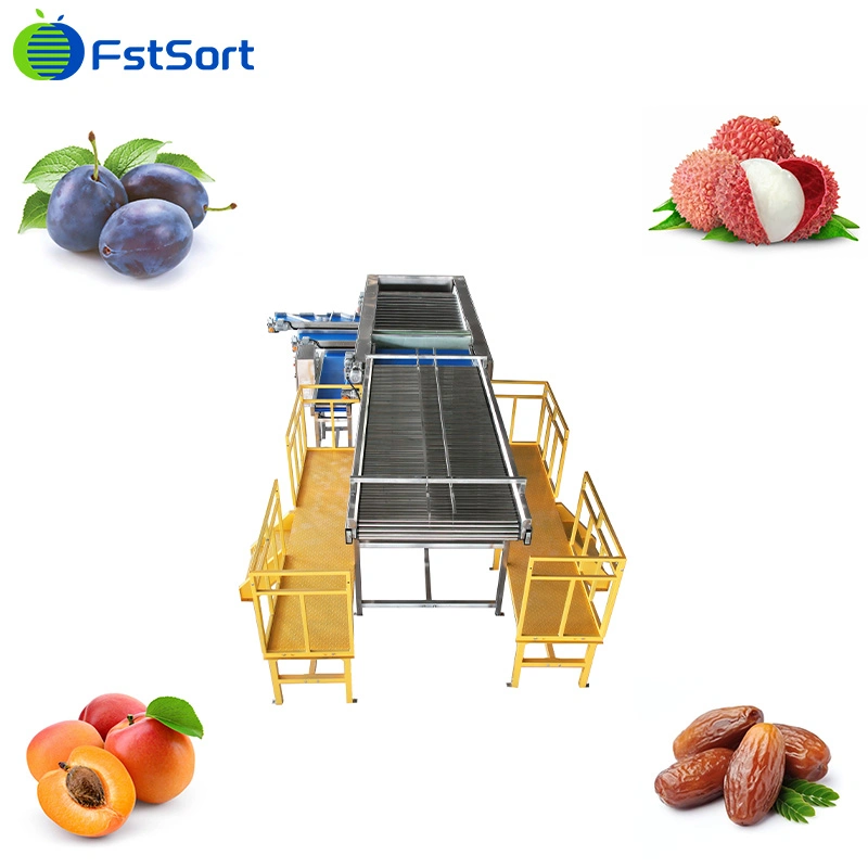 Fstsort Factory Price Olive Sorting Grading Machine Fruit Sorter Grader/ Lychee Grading Classifying Machine/ Olive Caper Grading Sorting Machine