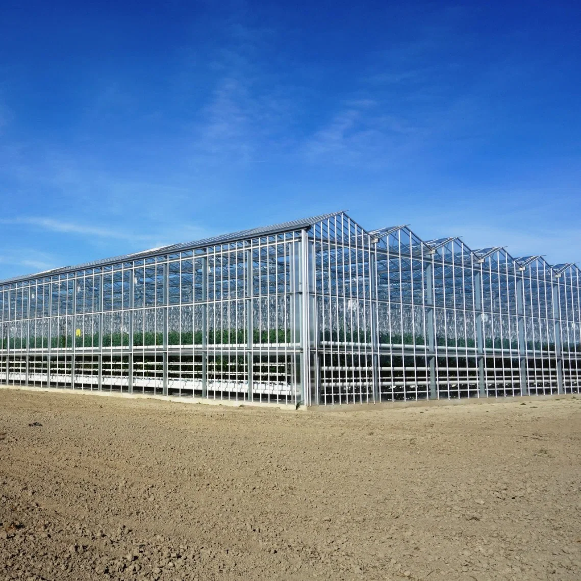 2023 High Performance Polycarbonate Greenhouse with Light Deprivation System