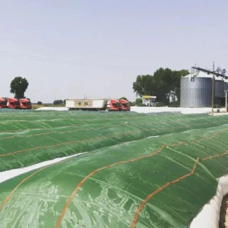 Silobags Are The Ideal Solution for Dry Grain, Fodder and Biomass Storage