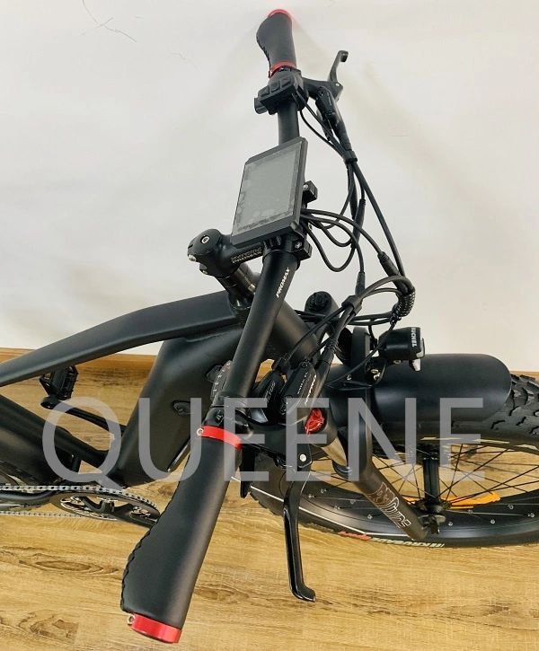 Queene/Bafang 500W/750W/1000W Vélo électrique de montagne à pneus gras de 26 pouces Snow Cruiser E Bike