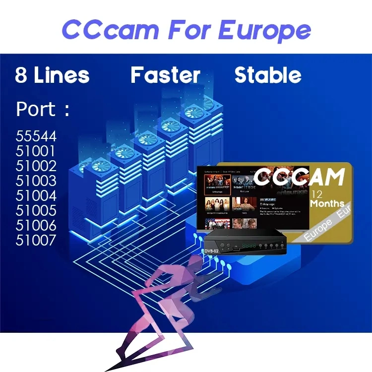 Stable Server 8 Lines Cccam Agent for Europe Spain Portugal Poland Oscam Icam Newcam Magcam Germany for Satellite TV Receive