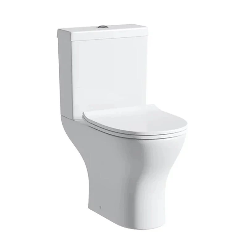 Sairi Floor Mounted Dual-Flush PP Soft Close Cover Ceramic Chinese Sanitary Ware Toilet