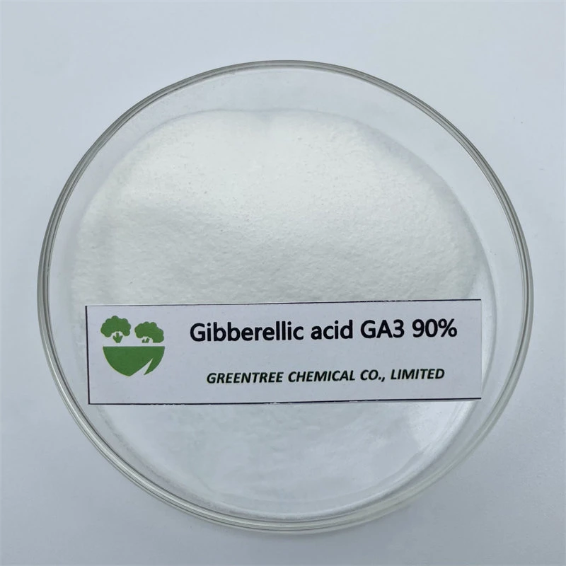 CAS no 77-06-5 Regulador de crecimiento de plantas Gibberellin giberelic GA3 90% TC