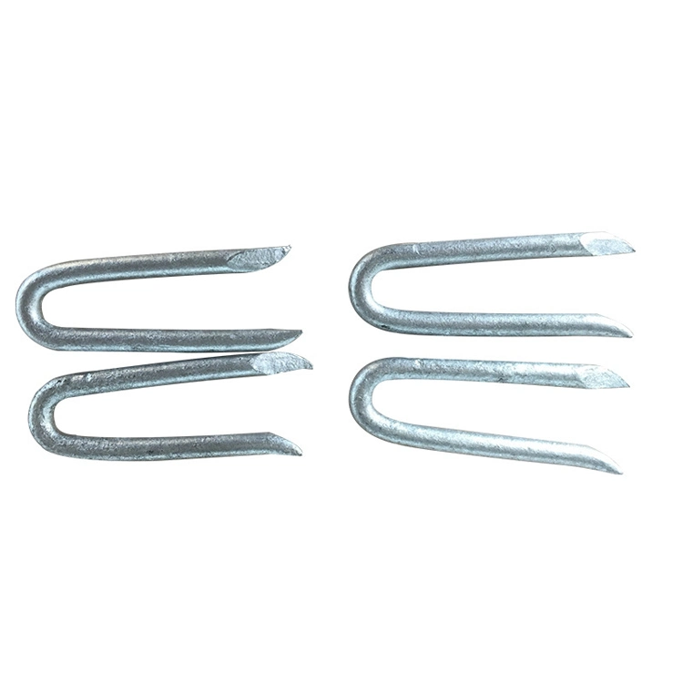 Manufacture High quality/High cost performance  Galvanized Barbed Shank U Type Staple