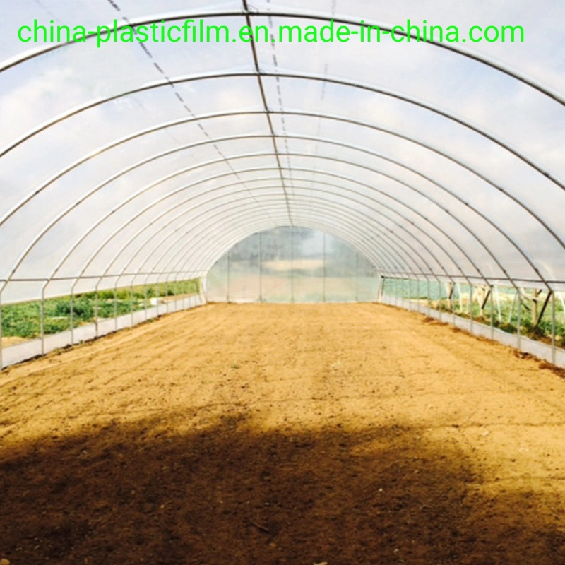 200micron Greenhouse Film UV Protection Greenhouse Plastic Film for Agriculture