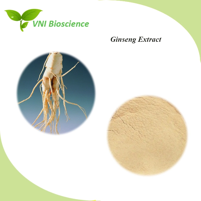 Kosher Halal Certified 100% Natural Ginsenosides Panax Ginseng Extract