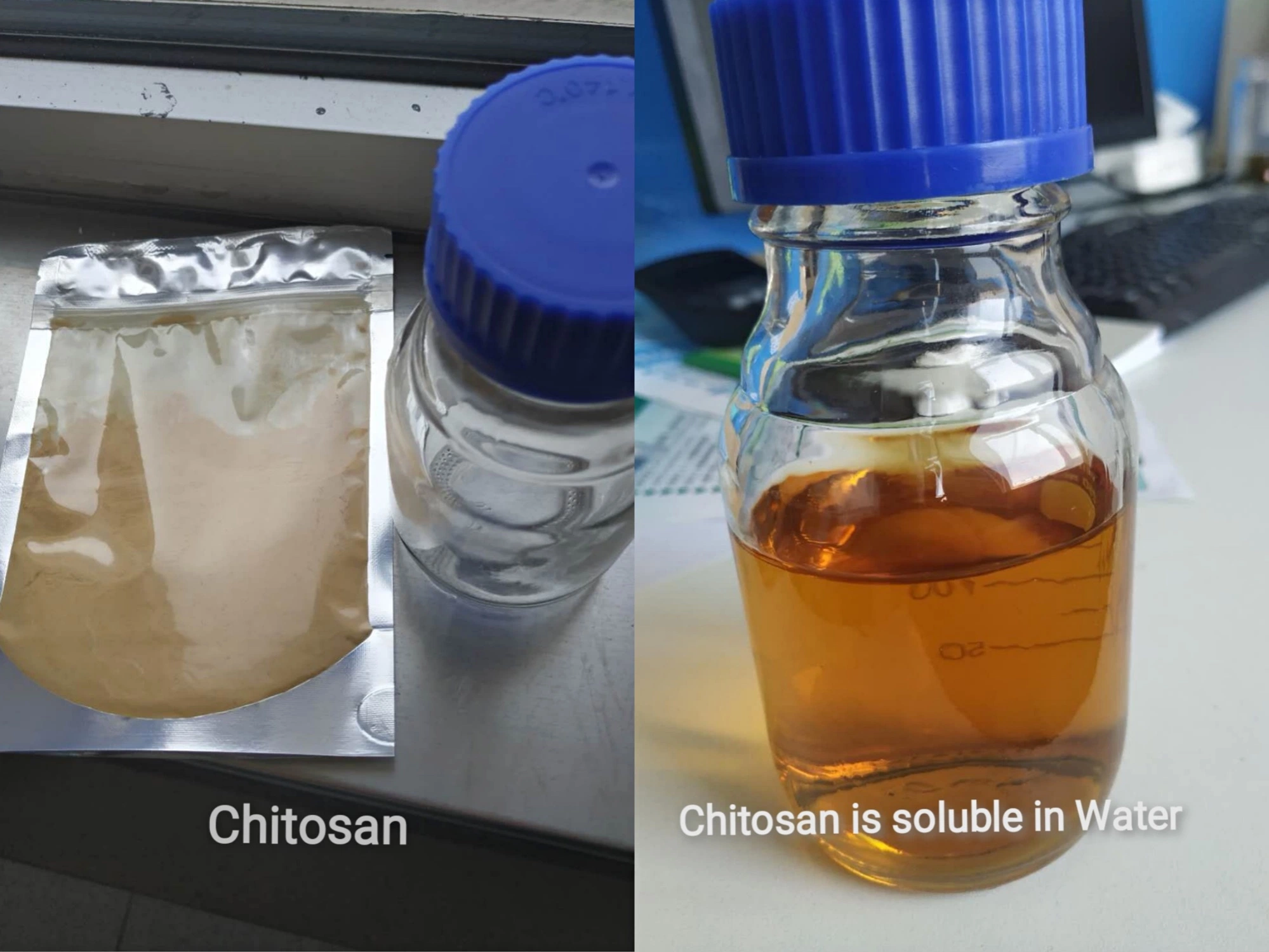 Non-Animal Water Soluble Chitosan for Cosmetics Skincare