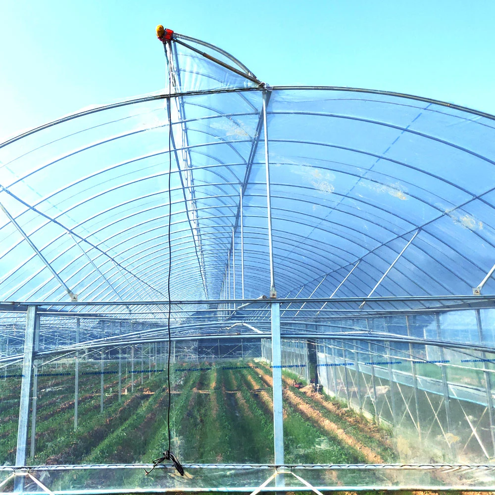 Venlo Arch Double Tempered Glass Greenhouse Film mit Hydrokultur wächst / Bewässerung System für Gemüse/ Blumen/ Tomate/ Garten