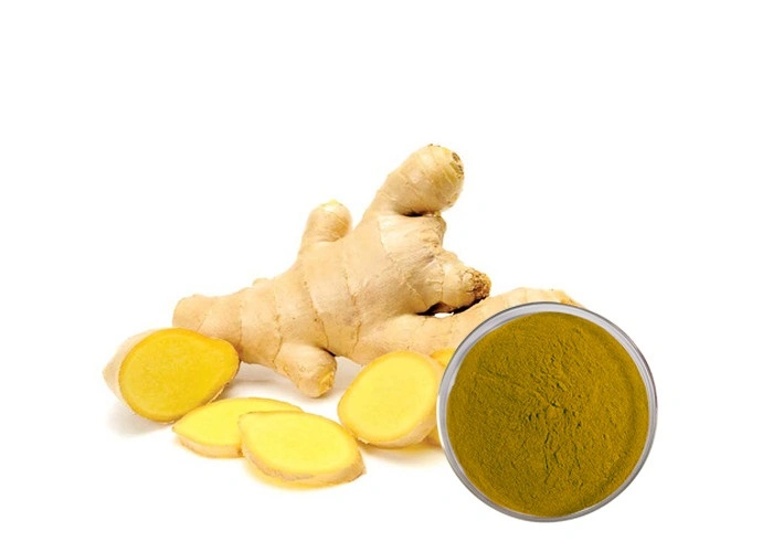 Food and Beverage Wholesale Price 100% Dehydrates Ginger Extract