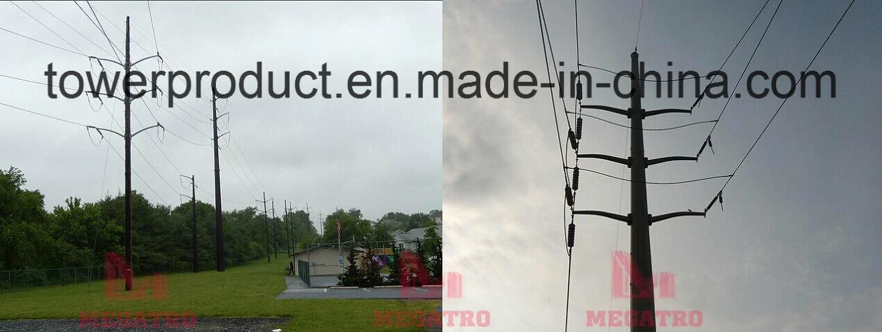 Megatro 69kv Double Circuit Single Pole Structure (MGP-DCP69)