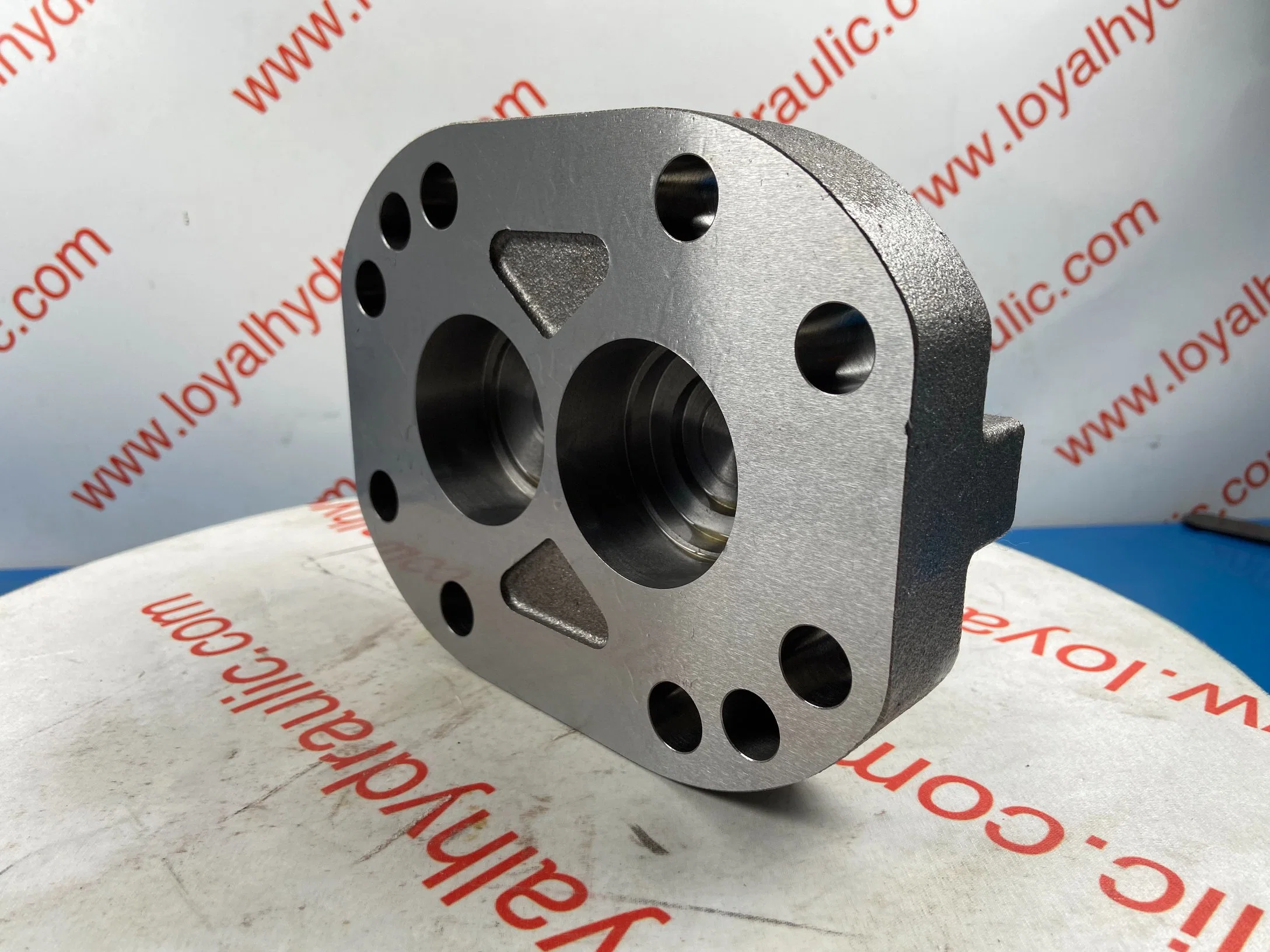 P75, P76, P315, P330 Hydraulic Gear Pump for Crawler Excavator, Forklift, Power Tools, Chain Saw Spare Parts