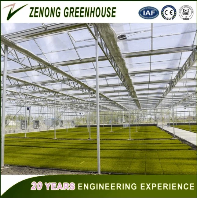 Vegetables/ Flowers/ Tomato/ Mushroom Greenhouse Covered with Poly Carbonate PC Sheet