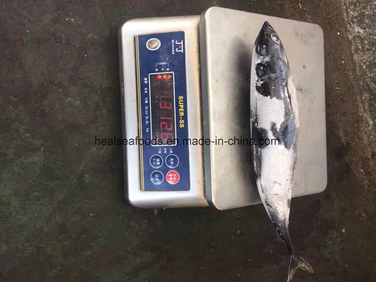 Frozen Bonito Fish 750g +