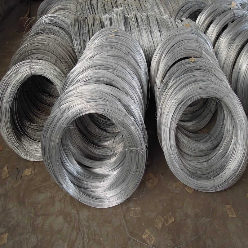 Electro and Hot Dipped Galvanized Wire for Metal Mesh