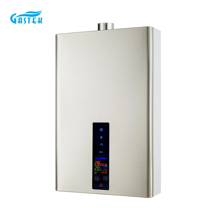 New Constant Temperature 10L 12L 16L 18L Hot Sale Home Appliance Flue Type Wall Mounted Tankless Instant LPG Natural Hot Water Gas Water Heater for Shower