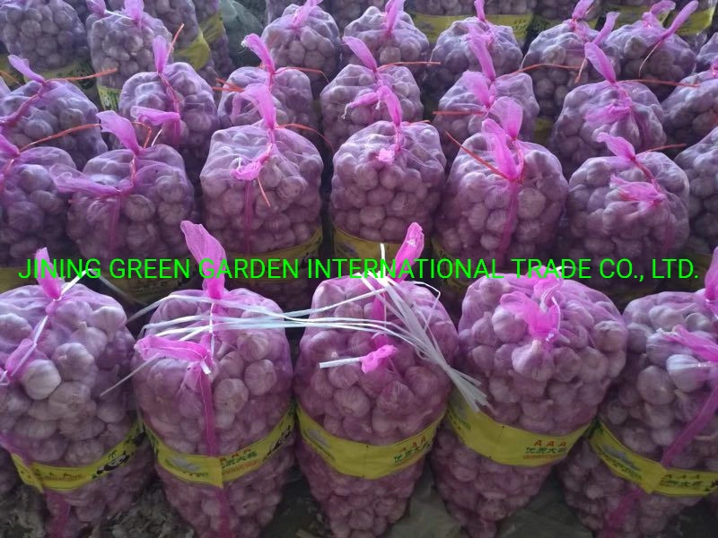 2021 New Crop Dried Dry Normal White Garlic From China Top Quality Lowest Price Plant Factory Direct Supply Experience Producer Good Service 4.5cm,5.0cm,5.5cm E