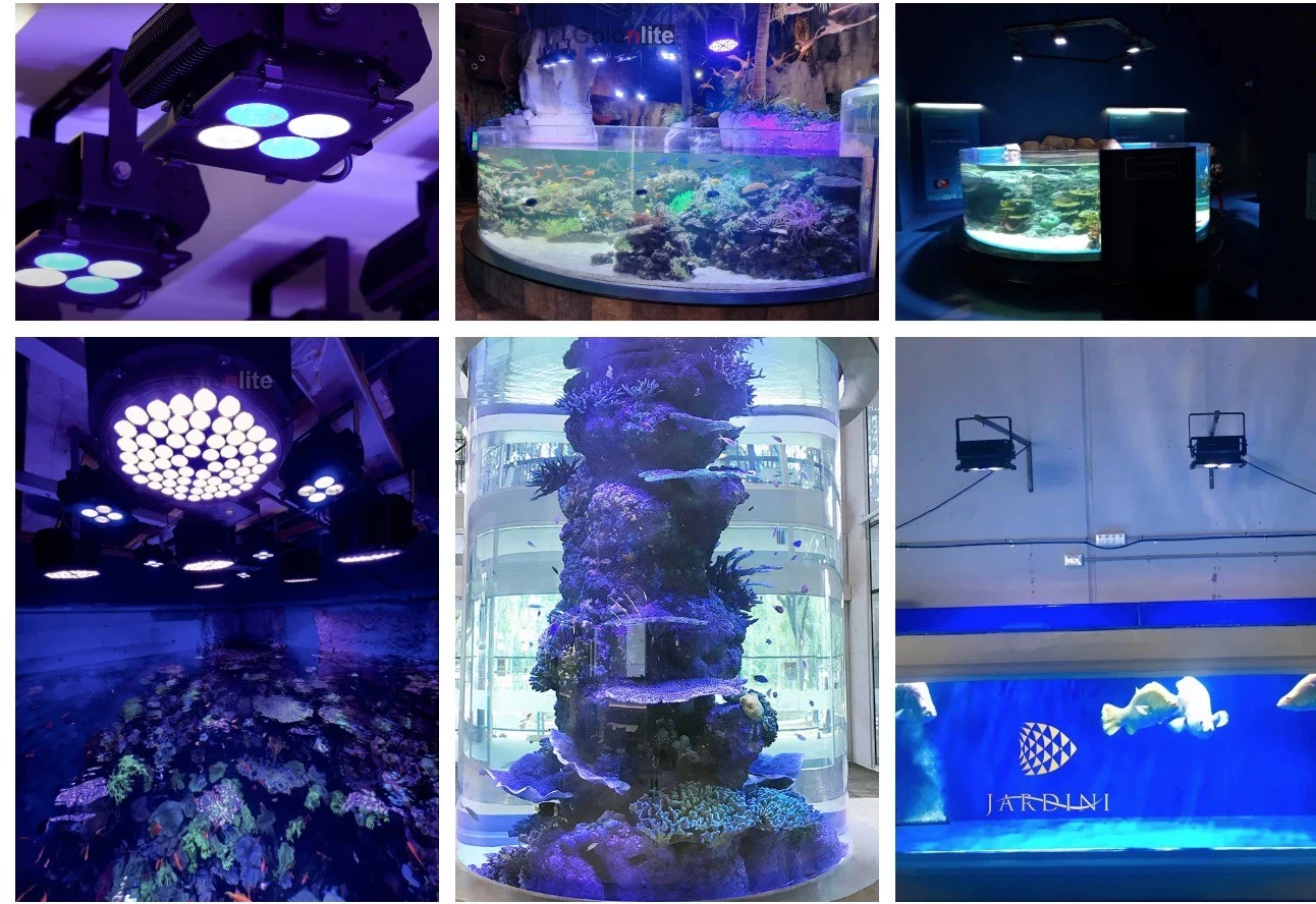 IP65 Waterproof Ik10 100W 150W 200W 300W Aquarium LED Light