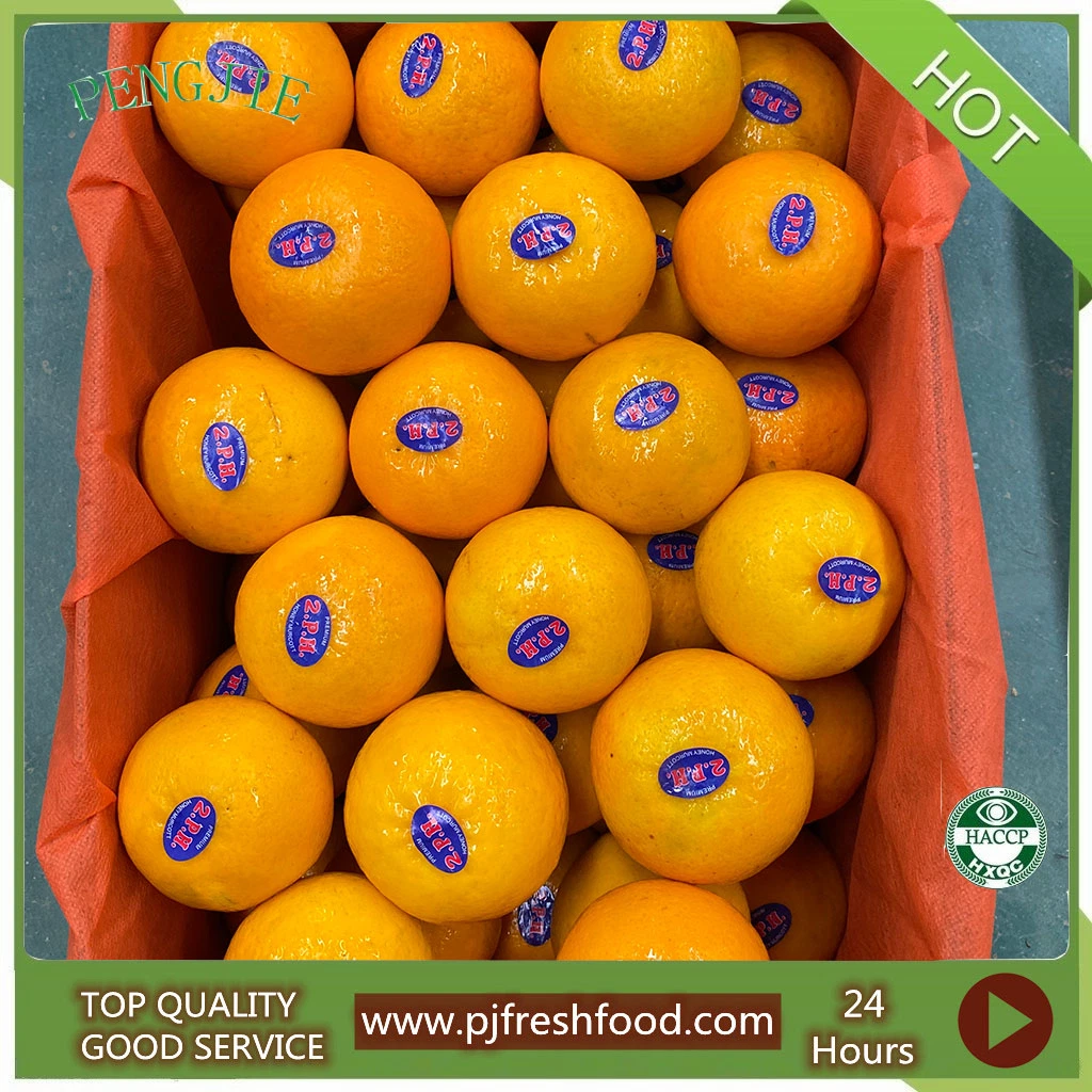 Fresh Sweet Mandarin Juicy Murcott Mandarin