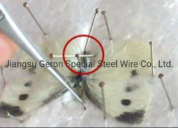 Twisted Binding Wire/Steel Wire/Twisted Wire/Iron Wire for Construction Building with Black Annealed Wire