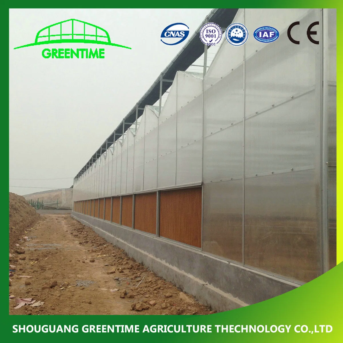 Strong Structure Galvanized Venlo Greenhouse with Cooling/Hydroponic System