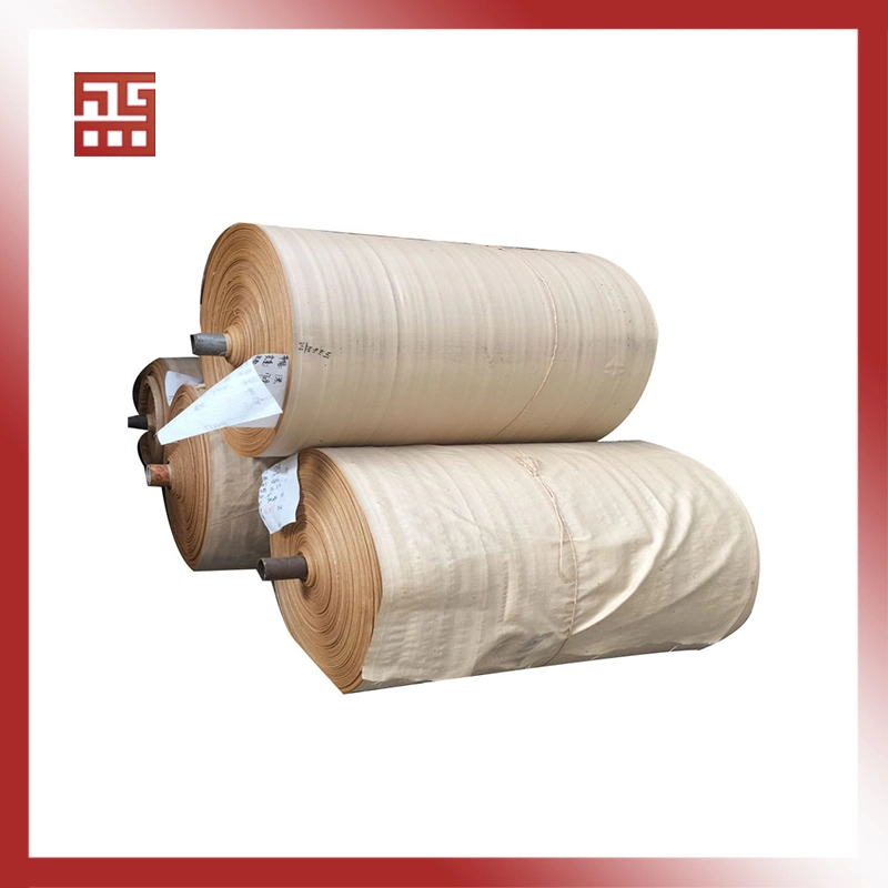 Prepreg Fiberglass Factory Outlet Good Quality Cheap PP Woven Fabric Roll