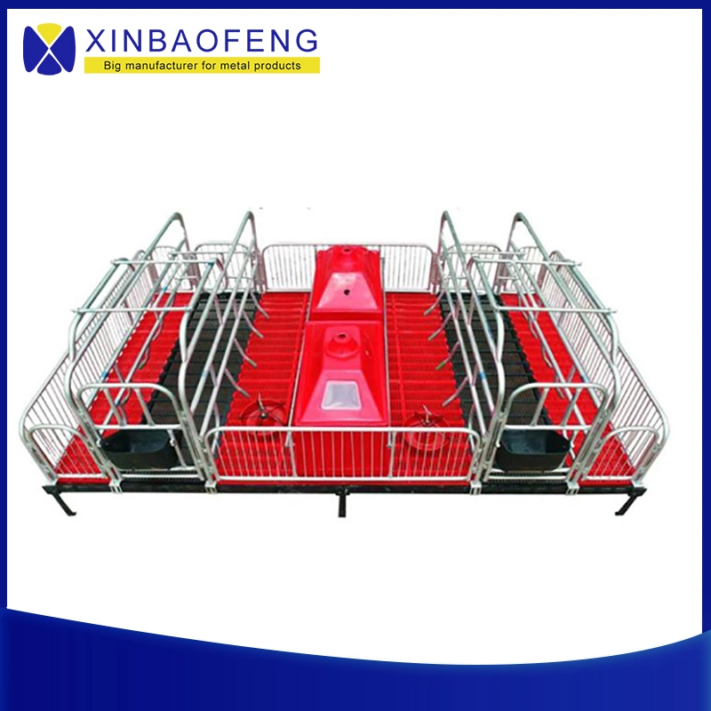 Livestock Pig Farm Farrowing Crate Equipment for Sale