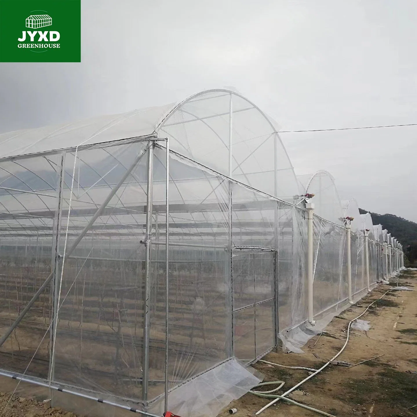 Plastikfolie Mehrspan Gewächshaus mit Hydrokultur-System für Gemüse/Obst/Blumen/Tomaten/Gurken/Salat/Pfeffer/Erdbeere/Heidelbeere