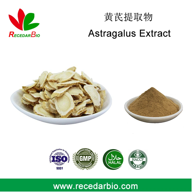 Astragalus extrato de raiz em pó 83207-58-3 Astragaloside a 5% a 98%