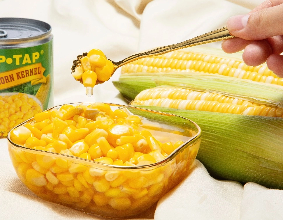 Nuevo cultivo de maíz dulce fresco 310g en lata con personalizado OEM