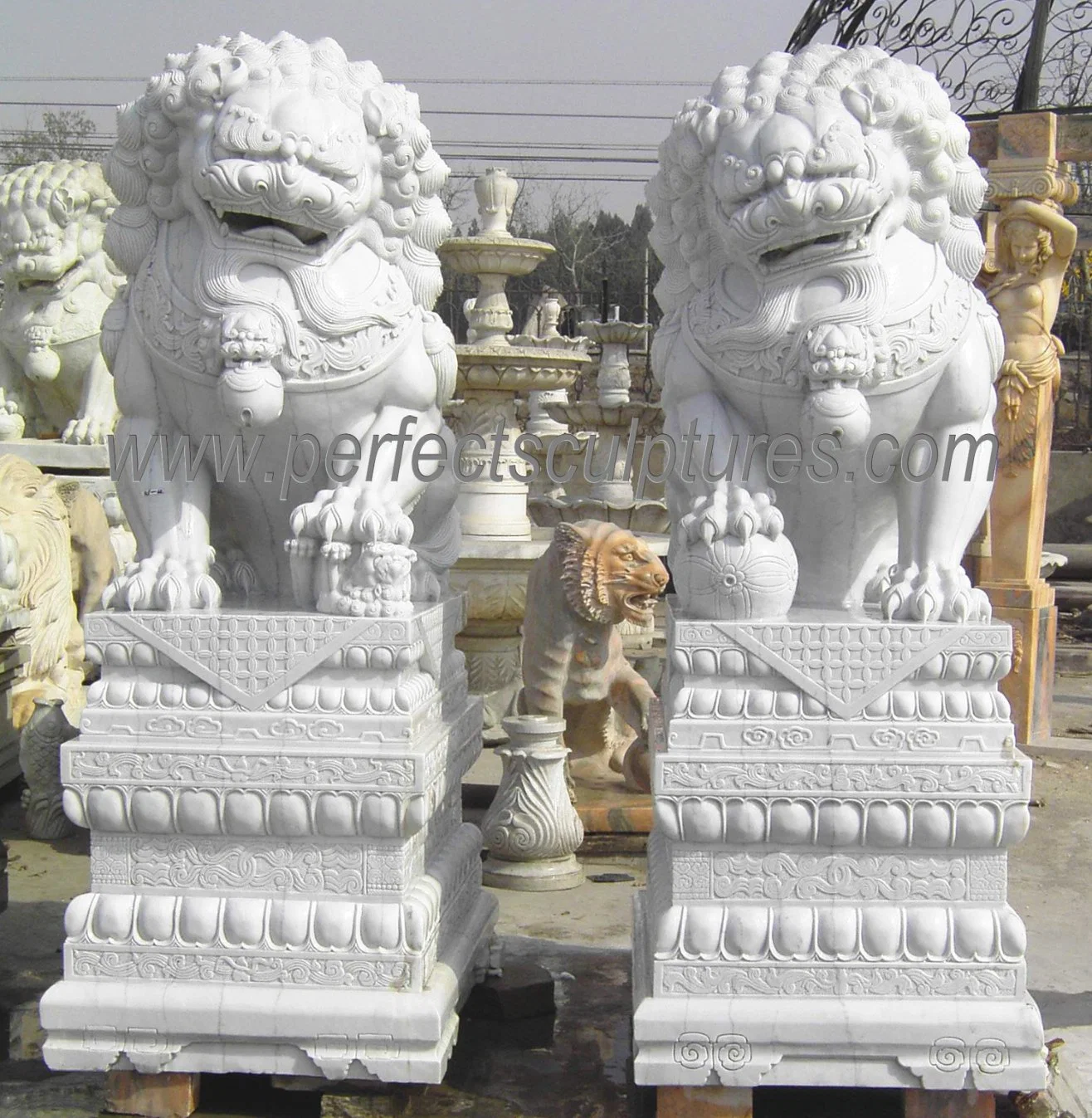 Classic Design White Marble China Fu Foo Dog Lion Statue (SY-D211)