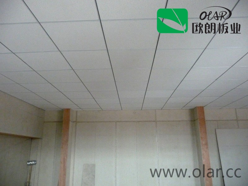 Fiber Cement Board Olar Fiber Cement Ceiling Board T-Bar White