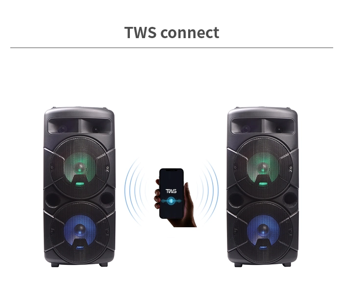 Temeisheng Tms-609 Double 6,5 Zoll Professional Party Box Sound System Lautsprecher Box DJ Verstärker Tragbarer Bluetooth-Lautsprecher