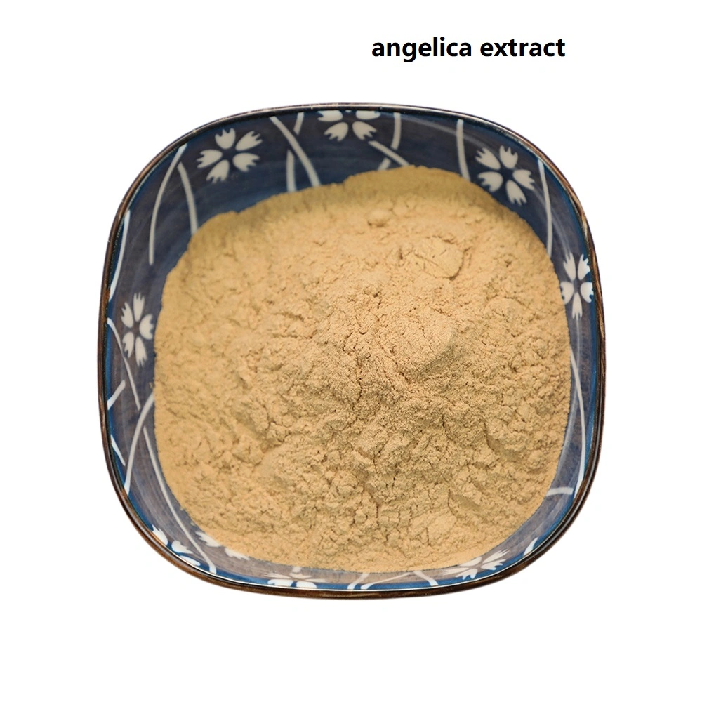 Angelica Sinensis Root Herb Extract Health Food Dong Quai Extract