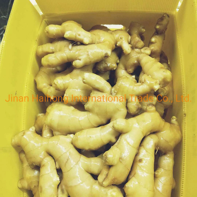 2019 New Crop Fresh Ginger From Shandong