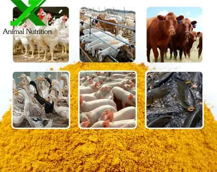 Meihua/Dongxiao /Golden Corn Brand 60% Feed Grade Corn Gulten Meal for Animals