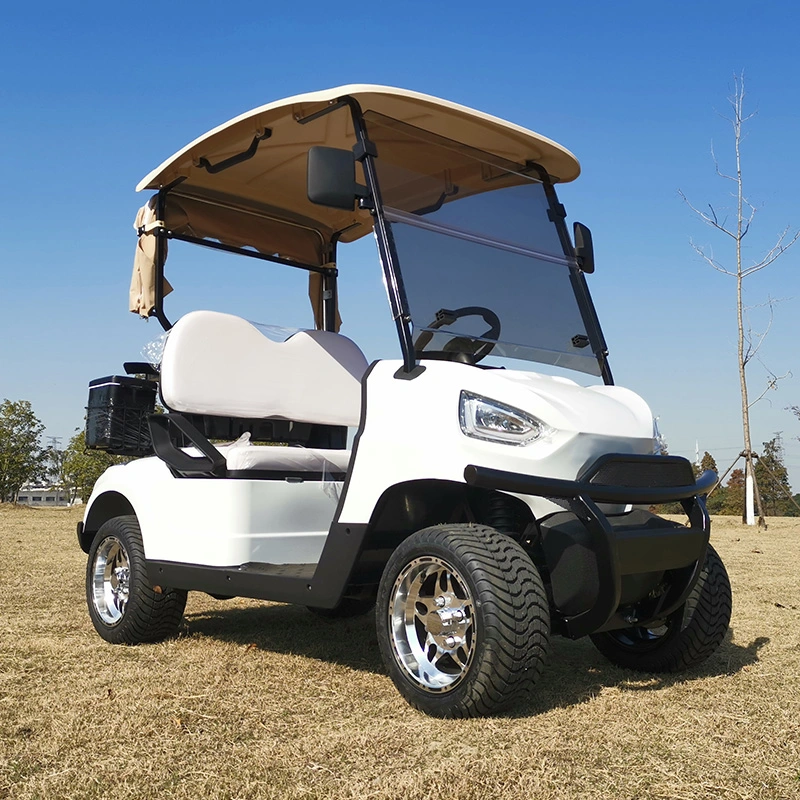 2 Seats Small 4 Wheel Electric Vehicles Cart Prices Electric Golf Car