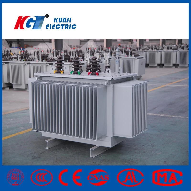 Outdoors Electric Oil Immersed Power Transformer Customizable Distribution Transformer 315kVA Standardisation