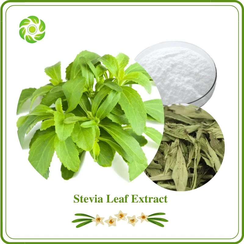 World Well-Being Natural Sweetener Stevia Leaf Extract Stevioside 99%