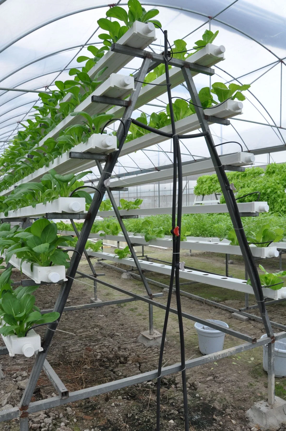 a Frame Growing Rack System Pipe Aeroponic Greenhouse Growing Equipment for Sale