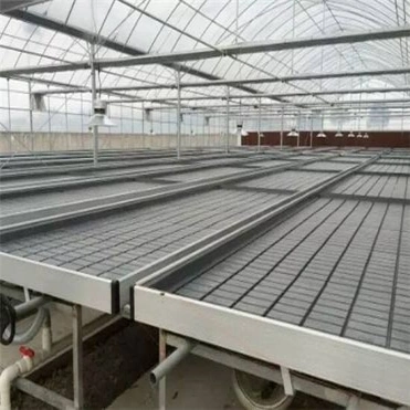 Factory Price Waterbed Seedbed Nursery Bed Galvanized Welded Wire Mesh Steel Seedbed/Seed Plot Movable Rolling Bench