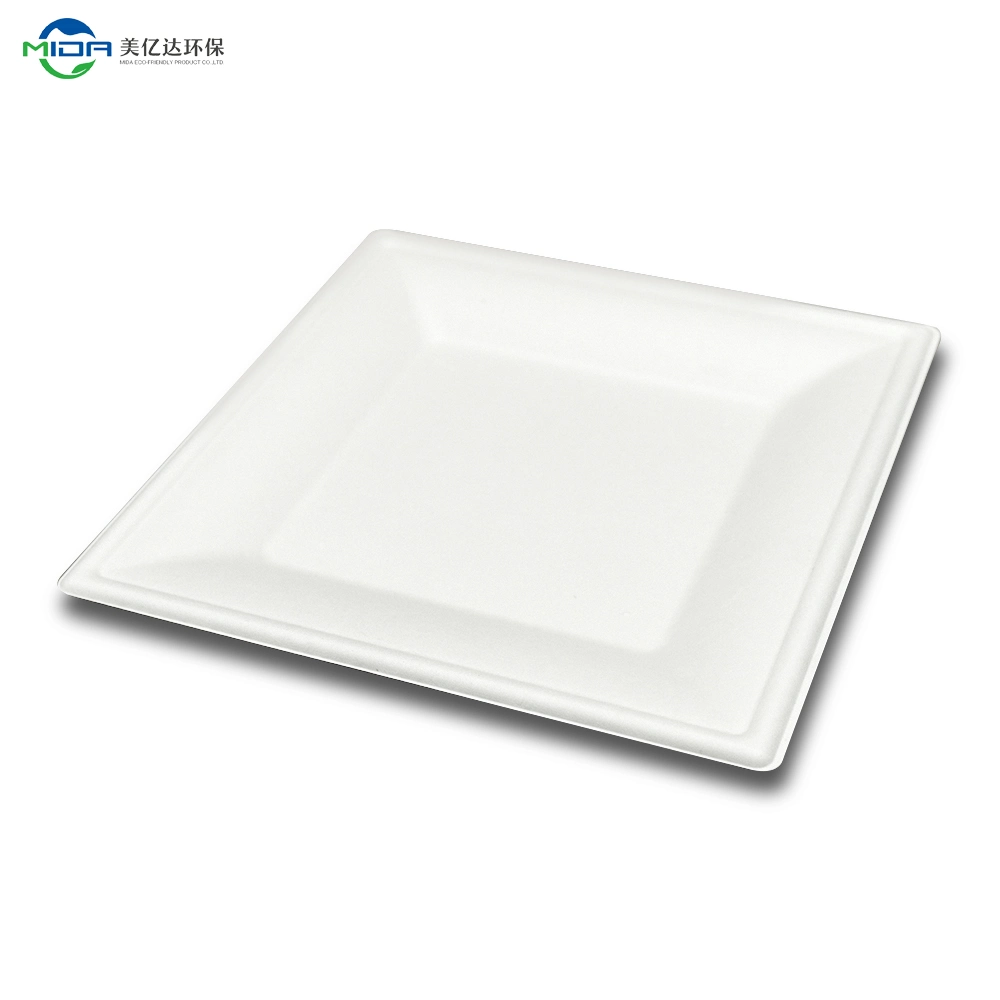 Hot Selling 6 8 9 10 Inch Paper Bagasse Plates Bamboo Thermocol Biodegradable Eco Friendly Dinner Disposable Dishes