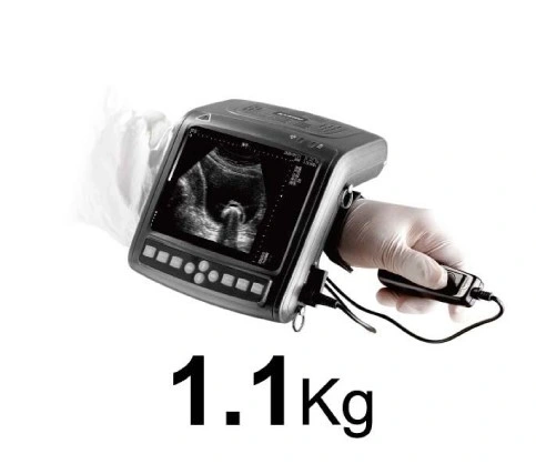 Hot Sale Medical Full Digital Handheld Veterinary Portable Vet Ultrasound Scanner