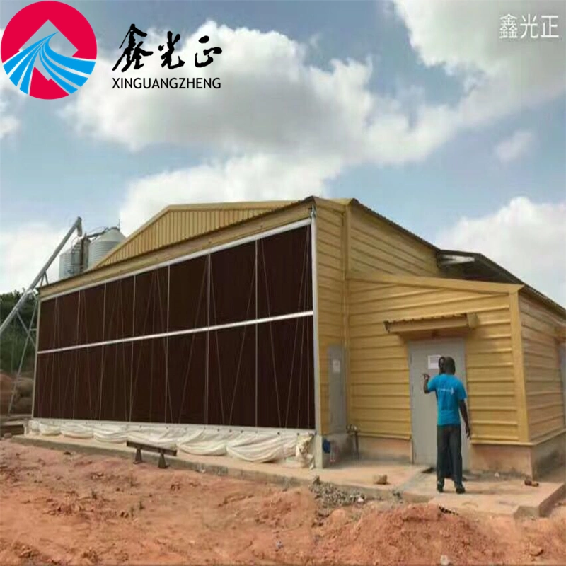 Good Chicken Steel Structure House Galvanized Steel Shed Frame Prefabricated Farm