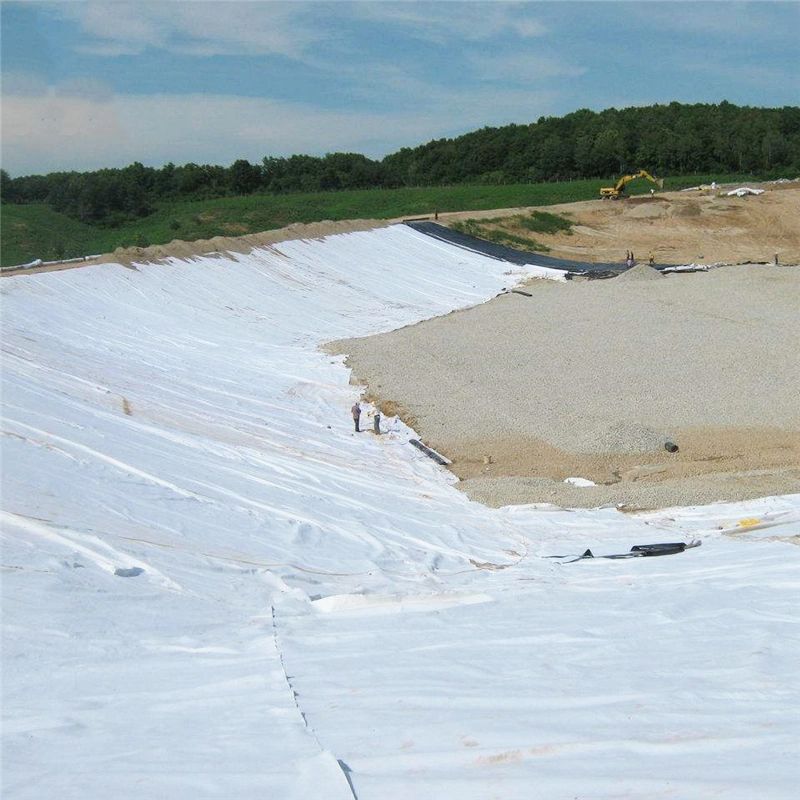 Long Fiber Geotextile Liner Non Woven Geotextile Fabric for Road Construction