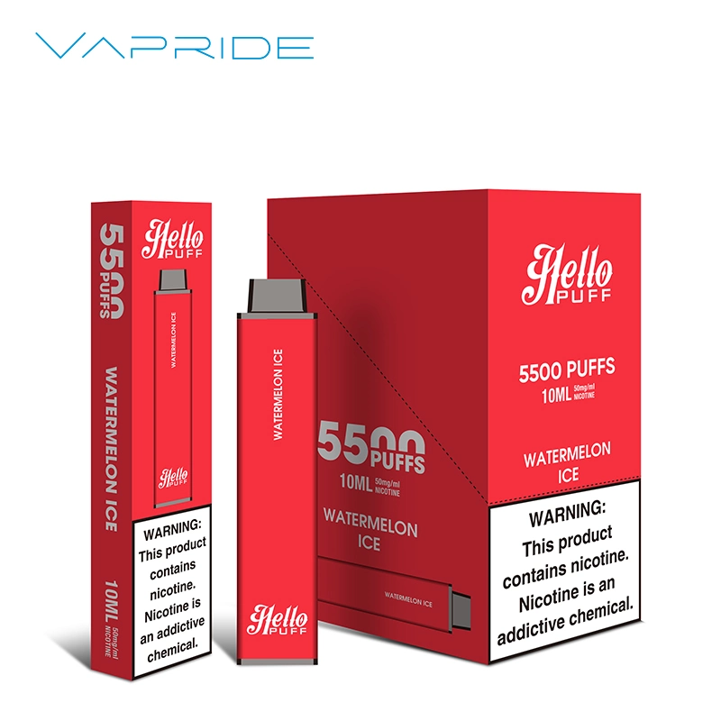 Pre-Filled 5000puffs 6000 Puff Bars Disposable/Chargeable Vape Pen Style 5% E Juice