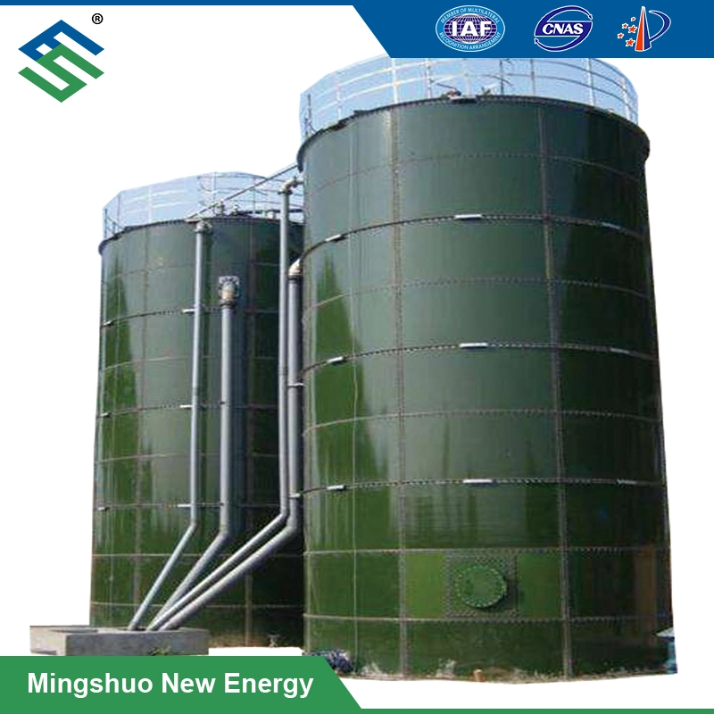 Assembled Tank Gas Generator Biogas Chemical Reactor