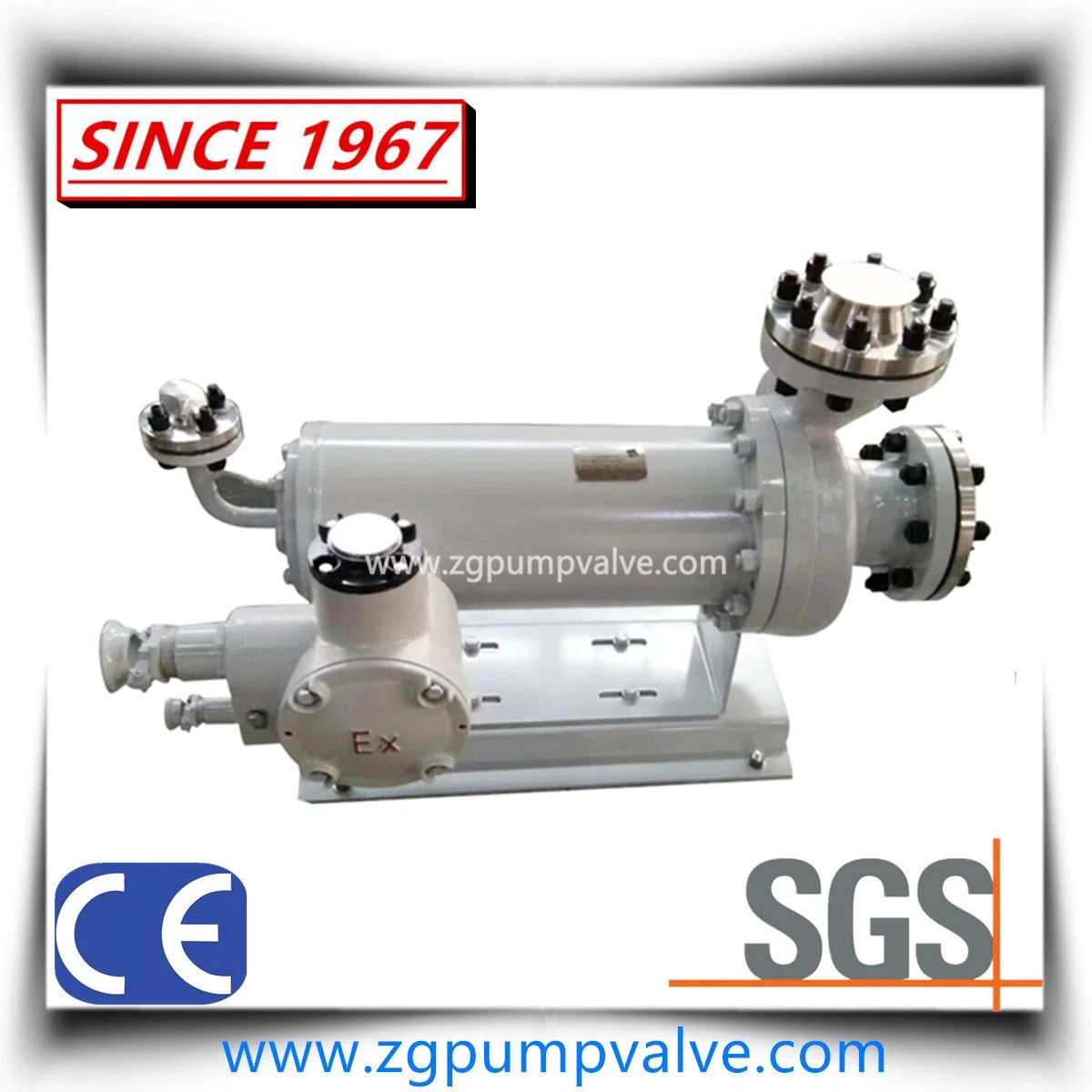 Chemical Canned Motor Multistage High Pressure Pump/Shield Pump No Leakage/No Shaft Seal/Explosion Proof Hastelloy C4 C276 Stainless Steel SS304 SS316 SS316L