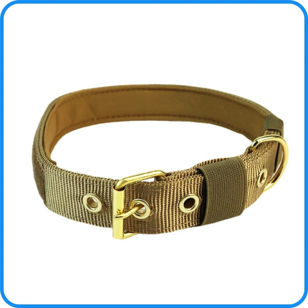 Taktisches Nylon Halsband Haustier Produktversorgung Hundehalsband