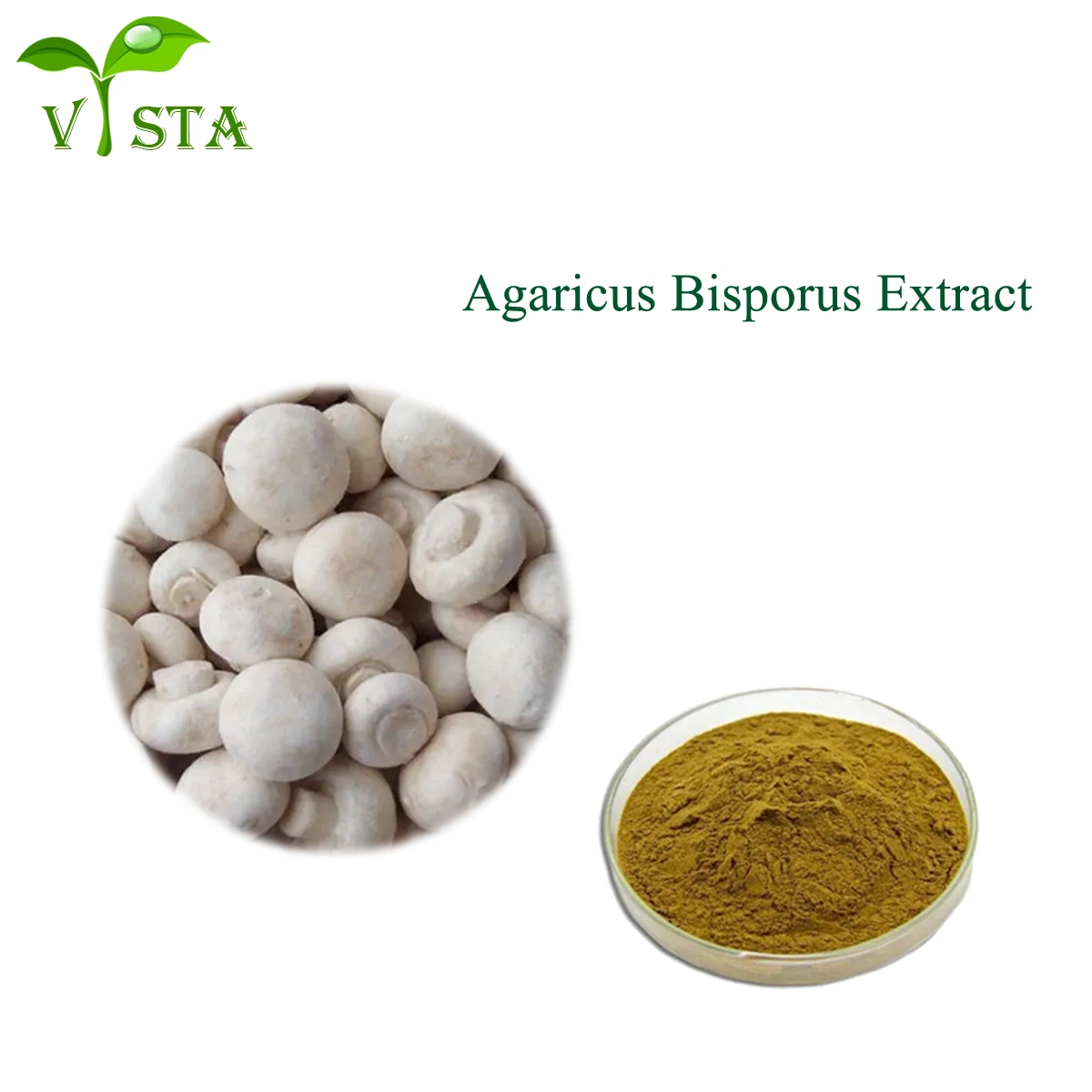 100% Natural Plant Extract Polysacharides 10%-50% Mushroom Extract Agaricus Bisporus Mushroom Extract