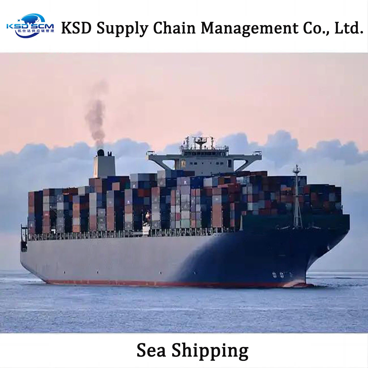 Ocean Shipping 20FT 40FT Container Agent Freight Forwarder From Qingdao China to Indian